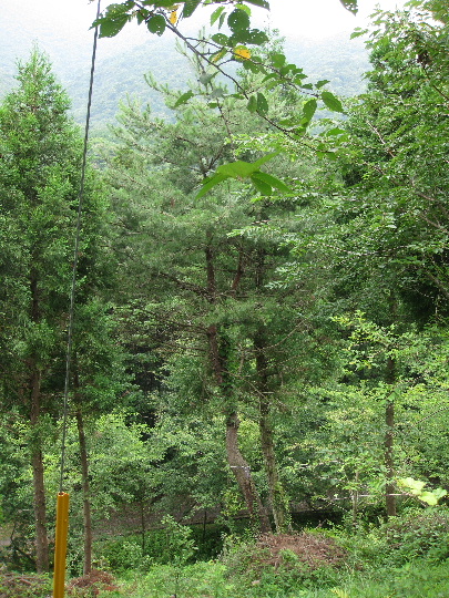 ��No12�A7��