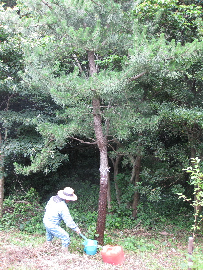 ��No15�A7��