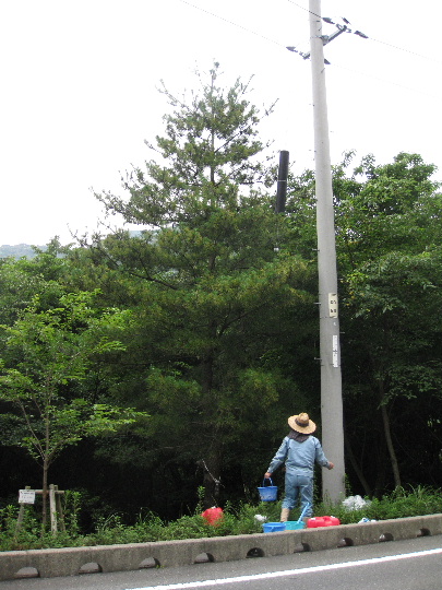 ��No17�A7��