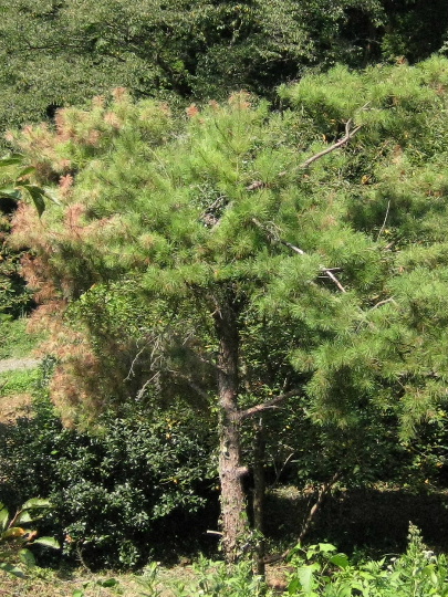 ��No6�A9��