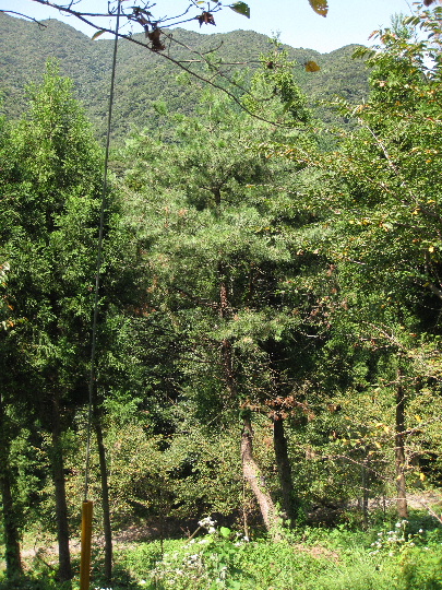 ��No12�A9��