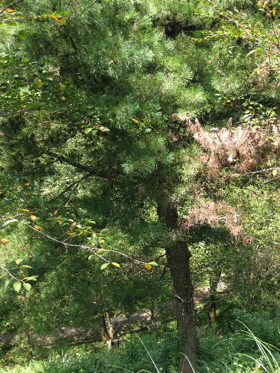 ��No14�A9��