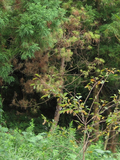 ��No3�A9��