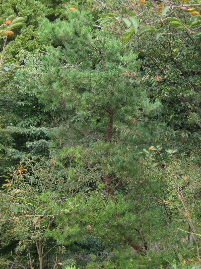 ��No10�A9��