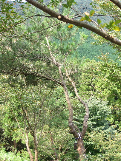 ��No11�A9��