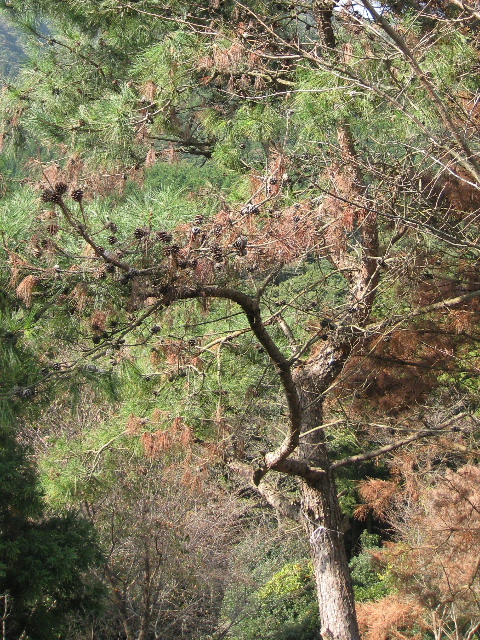 ��No4�A11��