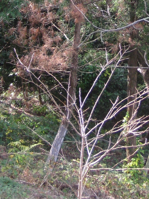 ��No3�A11��