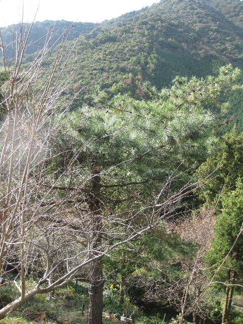 ��No9�A11��