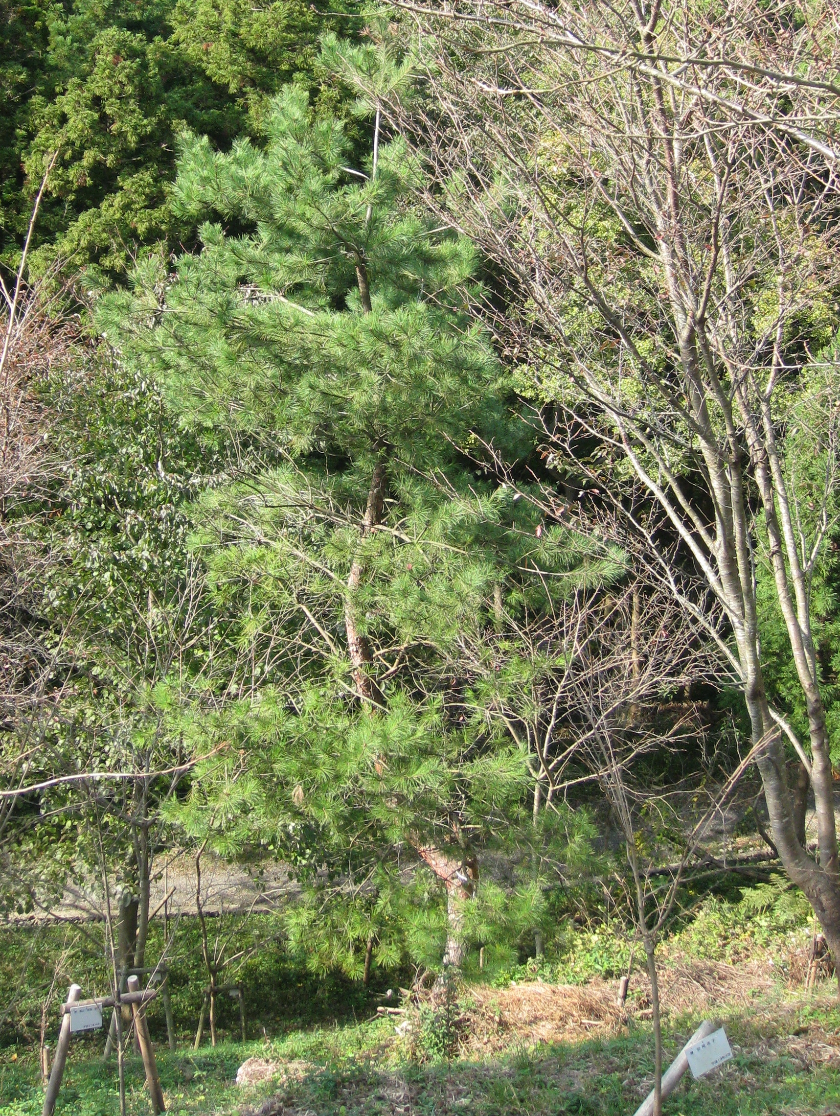 ��No10�A11��